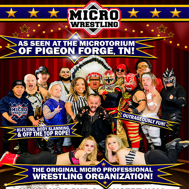 Micro Wrestling